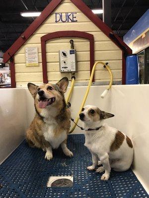 Waiting for a bath