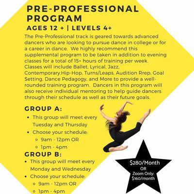 Pre-Professional Dance Program! Monthly sessions begin August 17th!