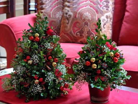 Boxwood Christmas Trees makes a wonderful gift and can be shipped across the USA