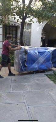 Professional movers at work !