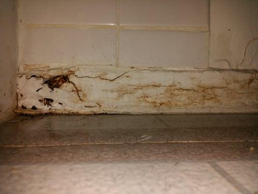 Soft drywall in the bathroom that they originally put a lot of white caulk over.  As you can see, mold and other issues.