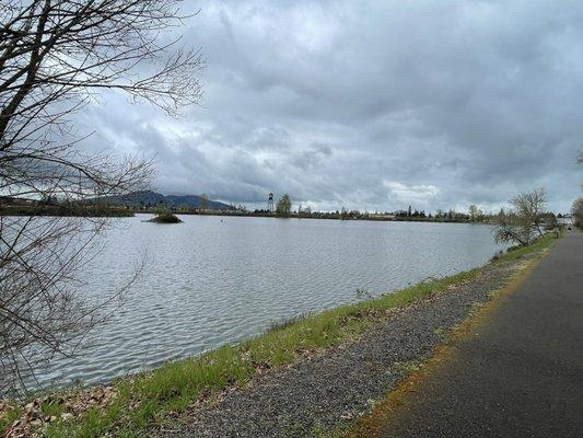 View on path back to parking area @ Cheadle Lake.