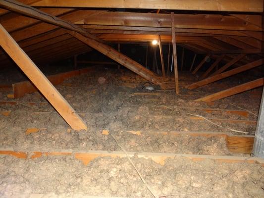 This is an attic before we added insulation.  You can easily see the joist, a sure sign that more insulation is needed.