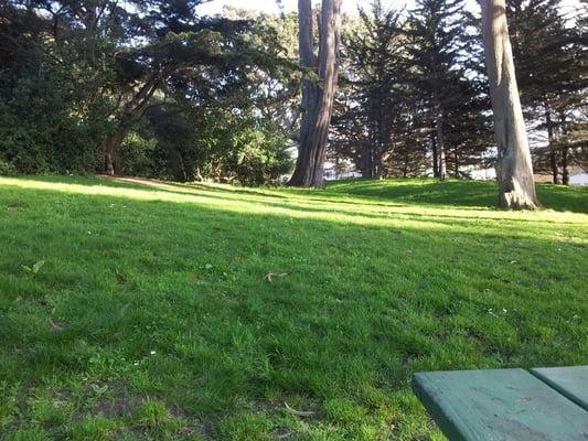 Looking east from one of the picnic tables.