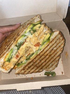 Chicken Avocado Panini