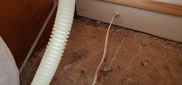 Mice droppings behind a homes dishwasher.