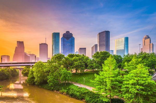 Tree Service Houston