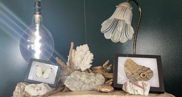 display of crystals, framed moths, driftwood, and a couple neat lamps!