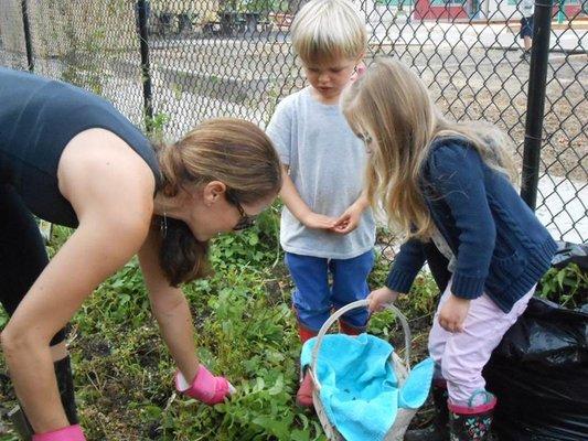 Working in our gardens