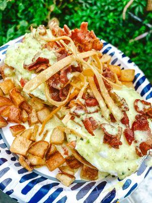 Green Chili Hollandaise Bacon Benedict