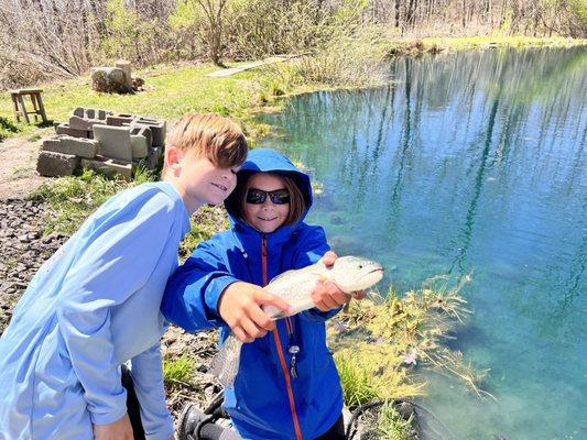 Just a few of the many different trout species at the pond.