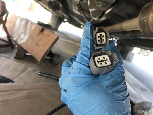 make sure connectors match at auto zone