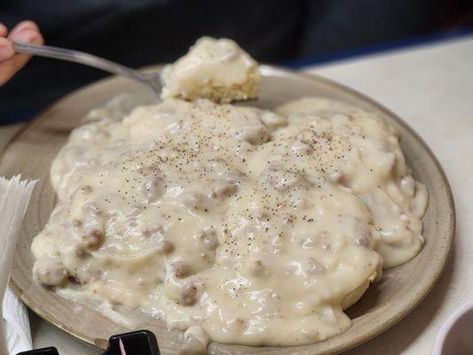 Full biscuits and gravy