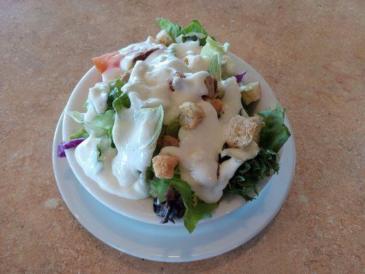 Side salad with bleu cheese dressing. Bland.