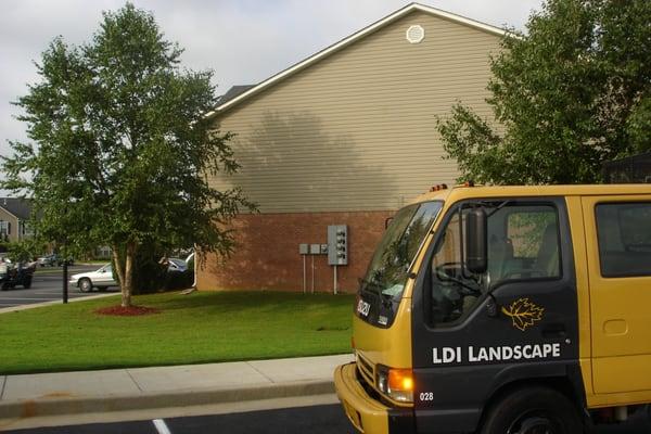 LDI Landscape