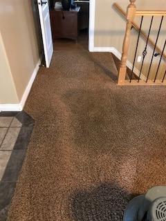 Check out our power head was removing the heavy soil off this carpet