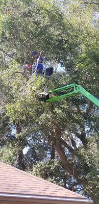 High Reach guy doing his thing