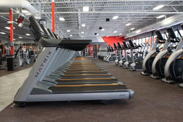 21 Treadmills and over 60 total cardio equipment.