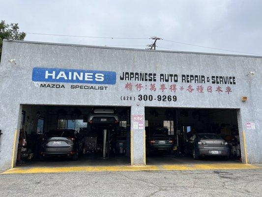 Haines Mazda Specialist