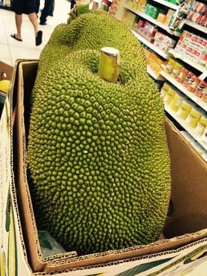 Fresh jack fruit