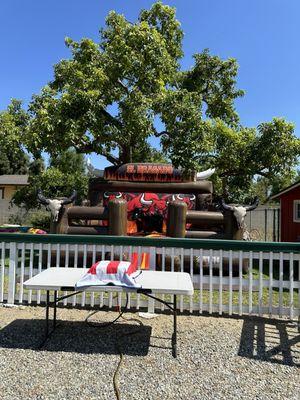 Mechanical bull