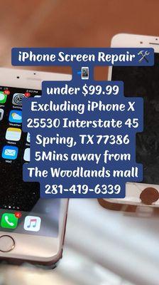 iPhone Repair Service