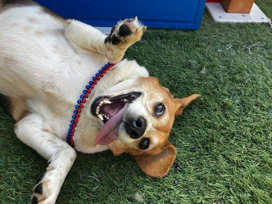 Dottie enjoying the party in daycare