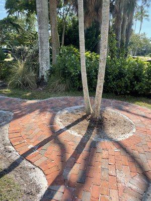 Circular brick around palm trees off of walk