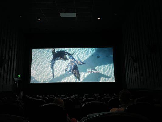 Awesome viewing of Avatar