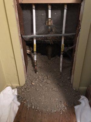 Rats. Burrowing under home and tunneling under bath tub. Bath tub access panel.