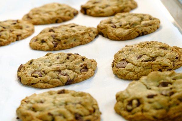 Chocolate Chunk Cookies fresh out the oven