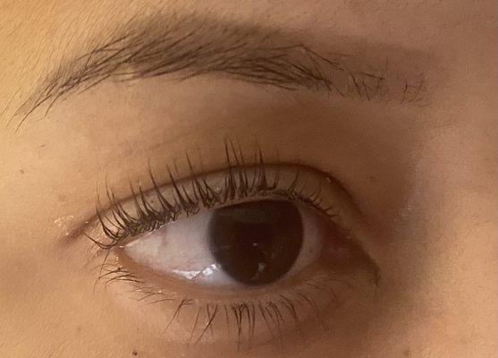 lash lift & tint