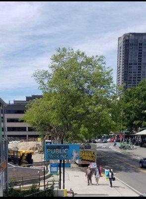 Photo of parking sign taken from Pike Place Market.