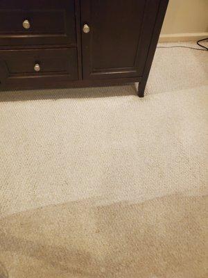 Carpets looking dull? Get them cleaned and refreshed with our professional carpet cleaning services!