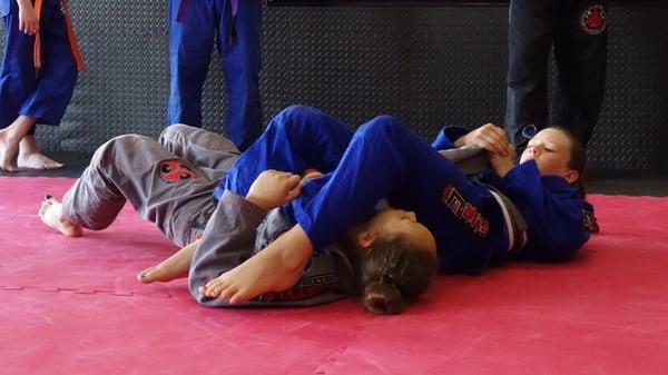 Brazilian Jiu-Jitsu for kids and adults.