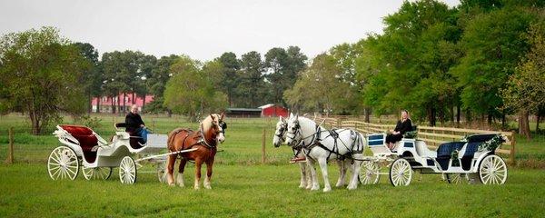 Our carriage team. Making a sad time - memorable.