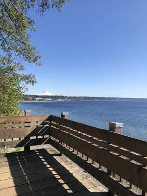 Gorgeous view of Mt. Rainier and the sound!