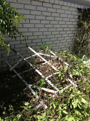 Trellis with plant left on ground