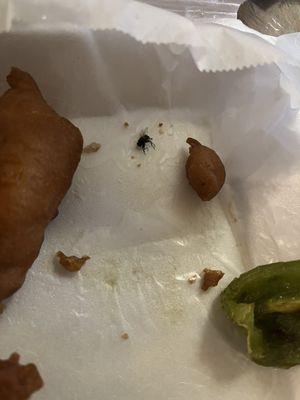 Bug found in food