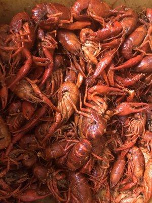 It's crawfish Tyme!