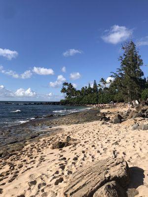 Beach! Walk to the rocks and trees