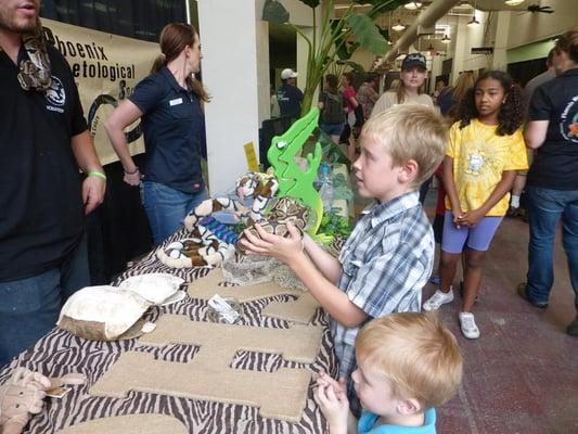 Reptile Show 2015 Tucson Expo Show!