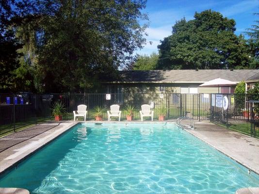 Sparkling Seasonal Pool!