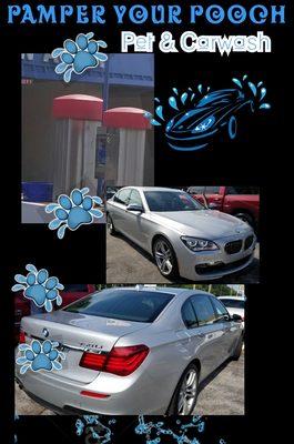 Pamper Your Pooch Pet and Carwash