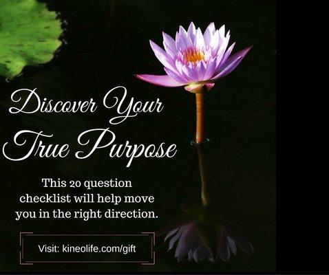 Discover Your True Purpose