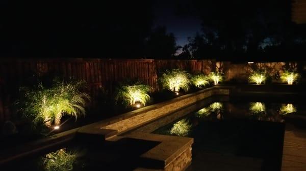 Poolside LED Landscape Lighting