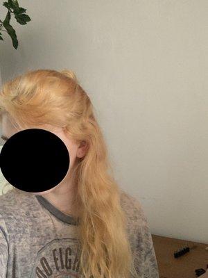 My bleach disaster