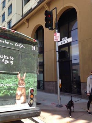 Company shuttle is blocking the crosswalk.