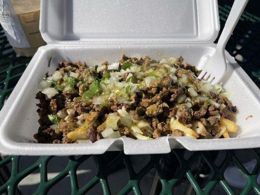 Carne Asada Fries