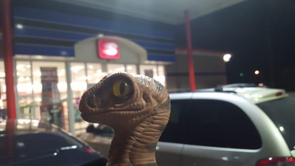 Bob the Raptor Says "Mammals come here to get gas."